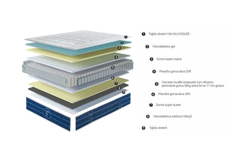 Los colchones más populares de Azorín Descanso destacan por su equilibrio calidad-precio e innovación, destacando el modelo Thermo Fresh (con tecnología Cooler), el Kiev (novedad destacada), Nexus, Nanos (juvenil) y Spasion. Se reconocen por ofrecer firmeza, durabilidad y materiales de alta densidad. Thermo Fresh: Destaca por una cara con tecnología "Cooler" para aportar frescor. Kiev: Presentado recientemente como un modelo destacado en su colección. Nexus: Modelo mencionado entre la gama principal de la marca. Nanos: Disponible en colores azul y rosa, ideal para el público juvenil. Spasion: Ofrece una estructura firme, resistente y duradera. Ondaflex Grand Luxe: Mencionada como una opción de alta gama con viscoelástica. Azorín Descanso es valorado por fabricar opciones accesibles y de calidad para el hogar.