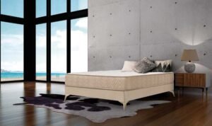 Matalàs Dorxial (Ref. 4030) d’Azorín Descanso: tecnologia, confort i descans reparador a RELAXIA ANDORRA la millor botiga de descans d'Andorra la Vella. A RELAXIA, sempre seleccionem productes que garanteixen un descans òptim, durabilitat i una excel·lent relació qualitat-preu. Per això incorporem a la nostra gamma el matalàs Dorxial (ref. 4030) d’Azorín Descanso, una marca que fabrica els teus somnis amb materials de primera qualitat i una llarga trajectòria en el sector del descans. El Dorxial és un matalàs pensat per oferir comoditat, adaptabilitat i suport equilibrat, ideal per a persones que busquen un descans profund i saludable. 1. Disseny i estructura pensats per al confort El matalàs Dorxial combina diferents capes tècniques que treballen conjuntament per aconseguir un suport òptim i una sensació de confort progressiu. La seva estructura està dissenyada per: Distribuir el pes de manera uniforme Reduir punts de pressió Mantenir la columna en una posició correcta Això el converteix en una opció ideal tant per a persones que dormen de costat com per a qui prefereix dormir boca amunt. 2. Materials de qualitat i alta durabilitat Azorín Descanso destaca per la seva selecció de materials, i el Dorxial n’és un bon exemple. Aquest model incorpora: Nucli HR d’alta densitat, que aporta estabilitat i fermesa controlada Capes de confort adaptatives, que milloren la sensació d’acollida Teixit exterior transpirable, que afavoreix la ventilació i evita l’acumulació de calor Tractaments hipoal·lèrgics, ideals per a persones sensibles a àcars o bacteris El resultat és un matalàs resistent, estable i amb una llarga vida útil. 3. Fermesa equilibrada per a un descans saludable El Dorxial ofereix una fermesa o resistència mitjana-ferma, una de les més recomanades pels especialistes en descans. Aquest nivell de fermesa: Manté la columna alineada Evita enfonsaments excessius Proporciona un suport adequat per a totes les zones del cos És una opció excel·lent per a parelles i per a persones que busquen un matalàs estable però confortable. 4. Transpirabilitat i regulació tèrmica Un bon descans també depèn de la temperatura. El matalàs Dorxial incorpora teixits i materials que afavoreixen la circulació de l’aire, mantenint una sensació fresca durant tota la nit. Això és especialment important en climes com el d’Andorra, on les variacions tèrmiques poden ser notables. 5. Fabricació pròpia: garantia de qualitat Azorín Descanso fabrica els seus matalassos amb processos controlats i materials seleccionats, assegurant: Qualitat constant Acabats professionals Productes fiables i duradors El Dorxial és un matalàs creat per oferir un descans real, amb la garantia d’una marca especialitzada i amb experiència. 6. Per a qui és ideal el matalàs Dorxial? Aquest model és perfecte per a: Persones que busquen fermesa o resistència equilibrada Dormitoris principals i juvenils Parelles que volen estabilitat i independència de moviments Usuaris que valoren la qualitat a bon preu Qui vol un matalàs durador i amb materials saludables Conclusió: un matalàs que combina qualitat, confort i preu just El matalàs Dorxial (ref. 4030) és una aposta segura per a qui vol millorar el seu descans amb un producte fiable, confortable i fabricat amb criteris de qualitat. A RELAXIA, Andorra la Vella, el trobaràs disponible i t’assessorarem perquè puguis triar la millor opció segons les teves necessitats. 👉 Descobreix-lo a www.relaxialuxe.com 👉 O visita’ns al Carrer de la Sardana, 21 baixos. Los mejores colchones de andorra colchones andorra Colchones Andorra la vella matalassos andorra Los mejores colchones para la espalda Los mejores colchones de muelles ensacados tienda colchones andorra La mejor tienda de colchones de andorra colchones andorra Colchones Andorra la vella tienda colchones andorra Tiendas de muebles en andorra tiendas de colchones matalassos andorra tiendas de colchones en andorra dormity andorra Los mejores colchones al mejor precio de Andorra colchones andorra los mejores colchones Los mejores colchones 2026 Los mejores colchones para la espalda Los mejores colchones 2027 Mejores colchones de alta gama Mejores colchones Amazon en Andorra colchones buenos Colchones baratos y buenos Los mejores colchones precio-calidad Los mejores colchones calidad-precio 2026 Los mejores colchones fabricados en españa mejores colchones calidad precio Mejores marcas de colchones Los mejores colchones calidad-precio del mercado Mejores colchones matalassos andorra Mejores colchones 2026 Mejores colchones del mundo Mejores colchones para dormir Los mejores colchones de muelles ensacados Colchones: opiniones Qué colchón comprar Mejores colchones y precios Colchones y mas 10 mejores colchones Los mejores colchones calidad precio 2026 Top 5 mejores colchones Andorra Top 5 colchones El mejor colchón calidad-precio